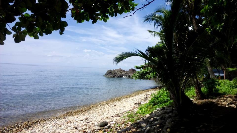 Paradise Palms Koh Chang Eksteriør billede
