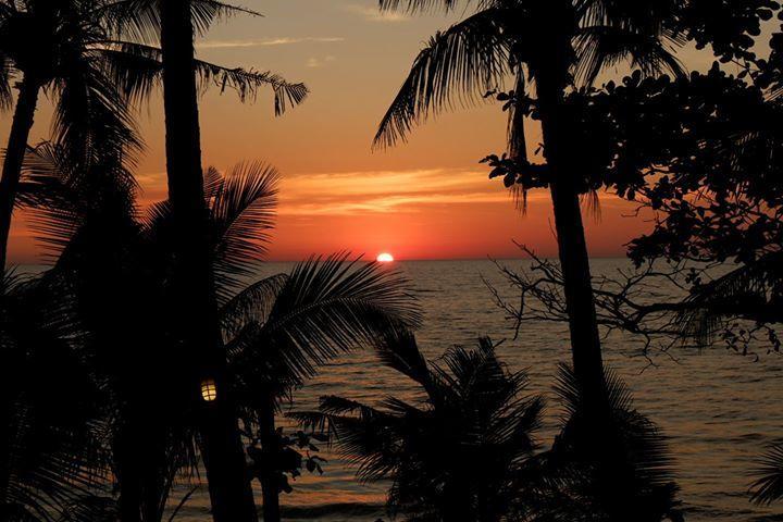 Paradise Palms Koh Chang Eksteriør billede